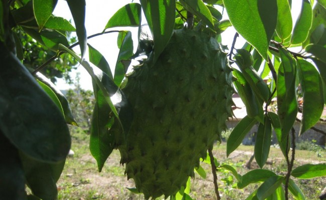 541234_10150653439936089_1078712051_n