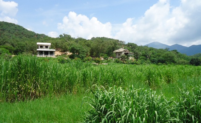 616205_10151026680236089_914565970_o