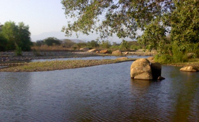 228219_198816243488665_100000808738954_422277_4304923_n