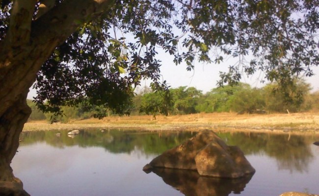 230209_198816226822000_100000808738954_422276_1675368_n